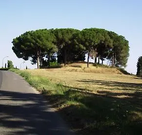 Pensjonat Mimosa